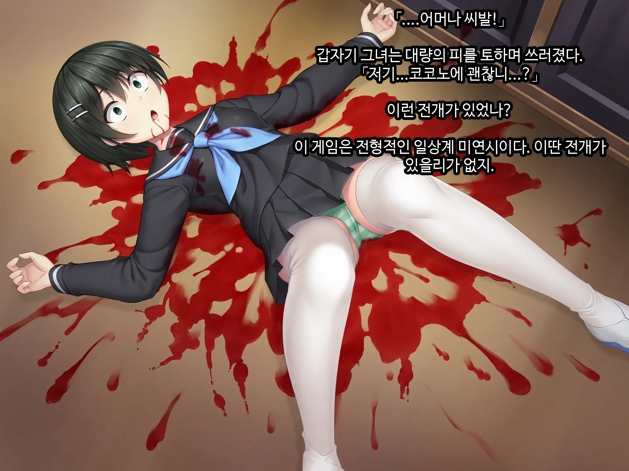 Galge No Heroine O Tasukeru Tame Ni. | 미연시 히로인을 돕기위하여